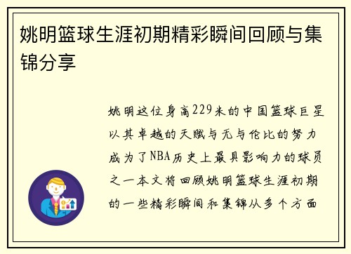 姚明篮球生涯初期精彩瞬间回顾与集锦分享