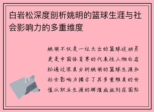 白岩松深度剖析姚明的篮球生涯与社会影响力的多重维度